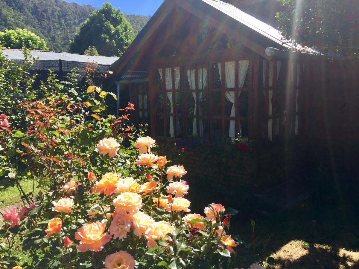Tu Cabana San Martín de los Andes Exteriör bild